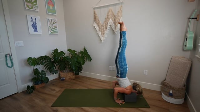 FLOW INTO CHIN STAND